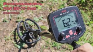 Металлоискатель RGK MD 70 Gold. Пример работы