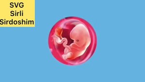 Хомилангиз 8 хафталик Сизни нима кутмокда нима истемол килиш керак