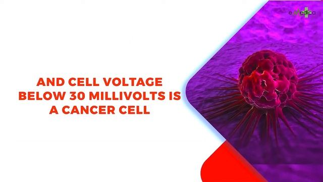 E - Medica смотреть онлайн