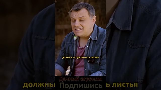 Саженцы: ОБЯЗАТЕЛЬНО ПРОВЕРЬ ЭТО