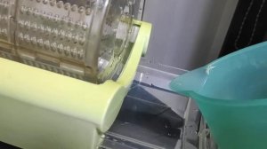 Проращиватель семян что и как? для домашнего использования