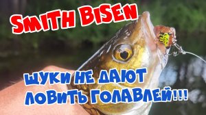 ЩУКИ НЕ ДАЮТ ЛОВИТЬ ГОЛАВЛЕЙ!  "РАЗОБРАЛИ" SMITH BISEN ЗА ОДНУ РЫБАЛКУ!