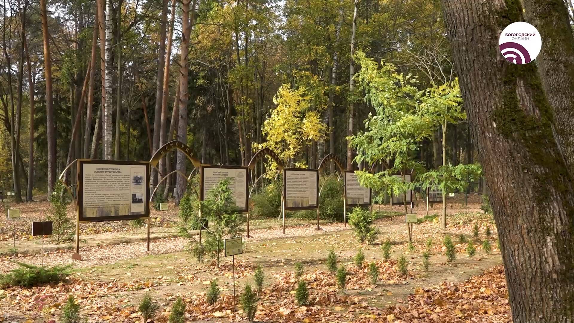 Парк «Волхонка» ждёт обновление смотреть онлайн