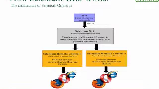 Selenium Tutorials | How Selenium-Grid Works–With a Hub and Nodes