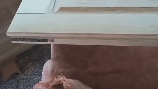 Як поставити,Ущільнювач на дерев"яні двері