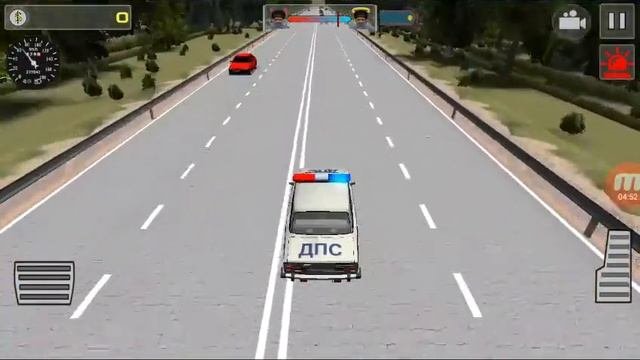 Симулятор полицейского