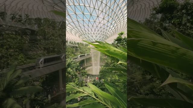 ProRes LOG function in the iPhone 15 pro max I used🎥by @kevouthere#iphone 15 pro max смотреть онлайн