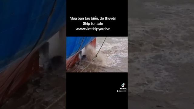 #boat #vessel #fishing #ship #propeller #propellersharp смотреть онлайн