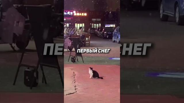 Подумал о тебе... и пошёл снег