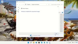 0x800f081f Error installing Windows 11 Windows .Net Framework