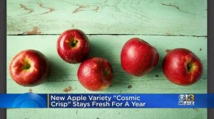 New Apple 'Cosmic Crisp' Could Stay Fresh For 1 Year