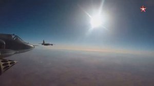 Дельфин   713 Авиация в Сирии