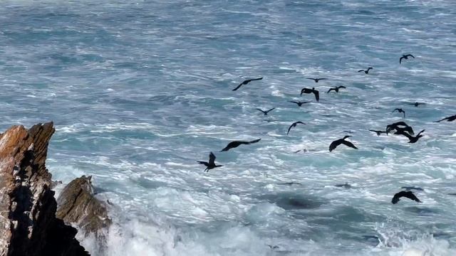 Pacific Coast Highway 1 Trip filmed with Pacific Blue iPhone 13 Pro Max Test Footage смотреть онлайн