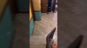 В Невском районе сотрудники полиции ликвидировали деятельность притона для занятия проституцией