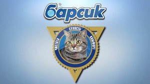 НПО с котом