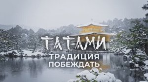 Модульная кухня серии Татами STEND Мебилар