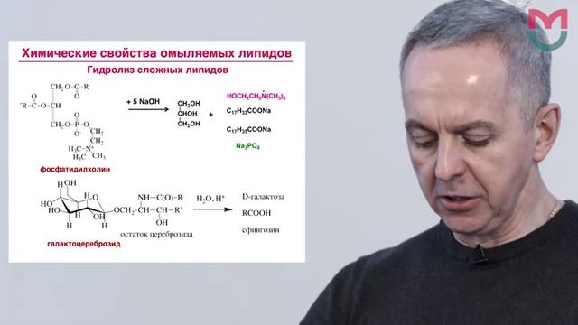 Лекция 13. Липиды. Коллоидные ПАВ и микрогетерогенные системы