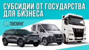 Субсидии от государства для бизнеса: как получить, какие подводные камни, на какие предметы лизинга.
