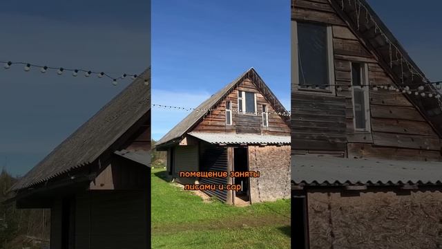 ГДЕ ЖИВЁТ РЫЖИЙ ФЕРМЕР | Обзор участка в деревне
