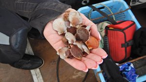 Новости Сахалина и Курил 14.10.24