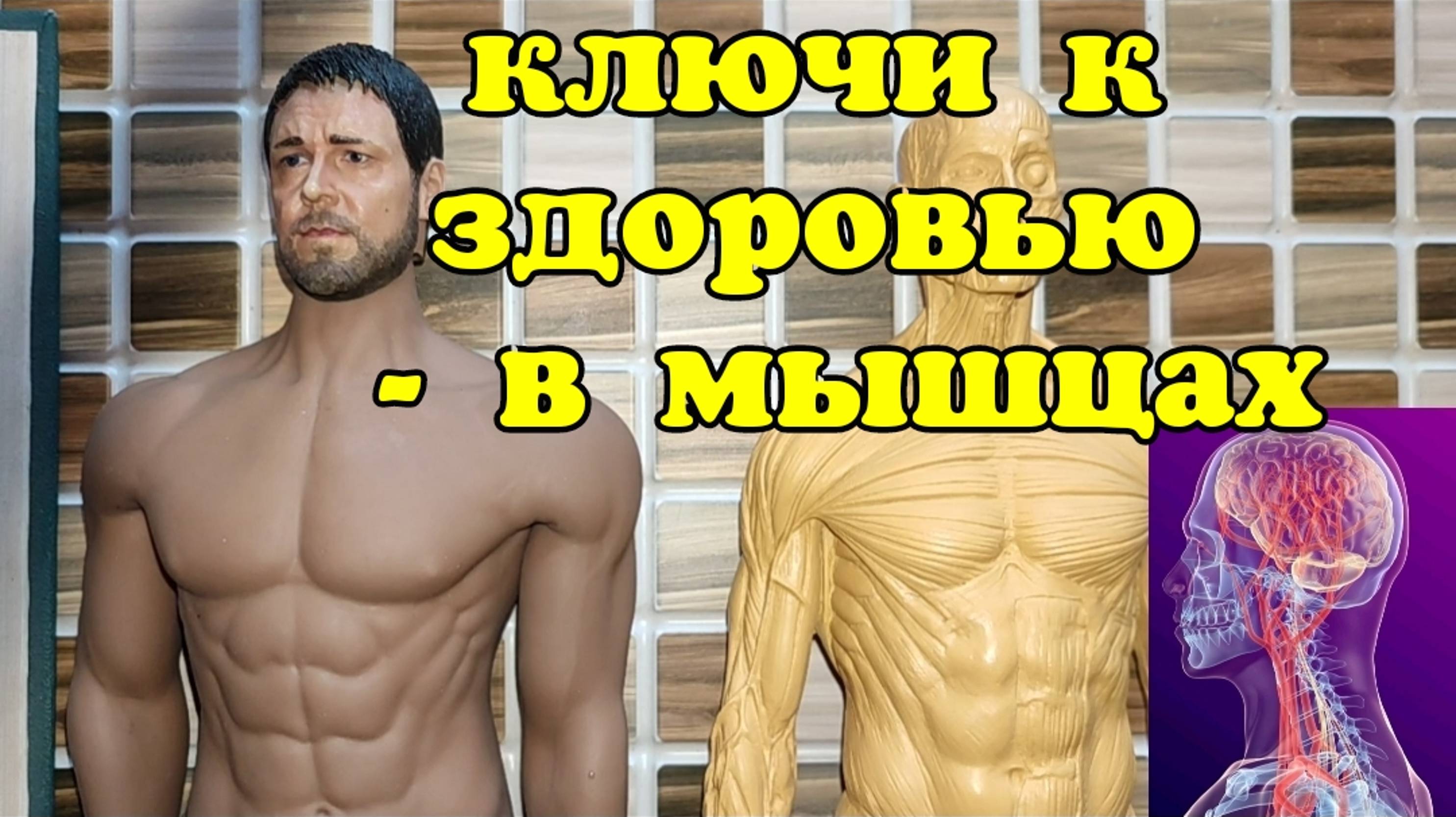 Под угрозой гибели мозг, шея, поясница, тазобедренные суставы, колени? Ключ к здоровью - упражнения