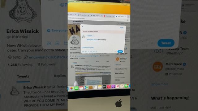 05-31-23: iMac (Tweeting Twitter Handles) смотреть онлайн