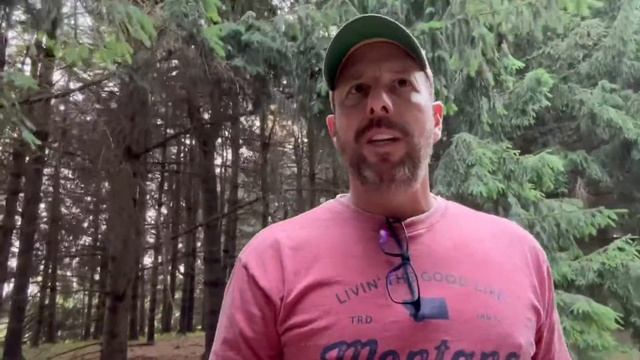 What Is Grava? Not APPLE VR PRO смотреть онлайн