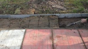 Купили соседний участок! Планы на ближайшую пятилетку!!!