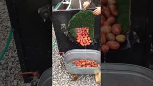 Мойка для овощей 2