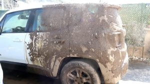 2 YEARS UNWASHED CAR ! Wash the Dirtiest Jeep Renegade