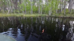 ОСТАВИЛ ЖЕРЛИЦЫ БЕЗ ПРИСМОТРА И ОБАЛДЕЛ. НОЧУЮ НА ОСТРОВЕ В ГАМАКЕ. ТАЁЖНАЯ РЫБАЛКА. ЩУКА ХОРОША