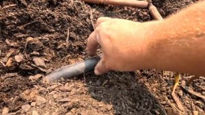 Moving Perennials Out of the Cut Flower Garden + Harvesting & Making a Wreath with Artemis 2024