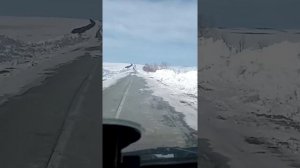 Везём сено. Баф феникс или газель