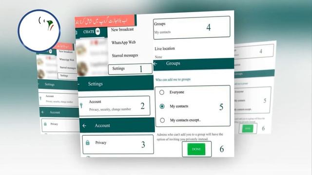 Latest Update in WhatsApp New Secret Feature  Satrangi TV
