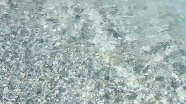 Rejuvenating River Sounds at Rees River | Paradise New Zealand смотреть онлайн