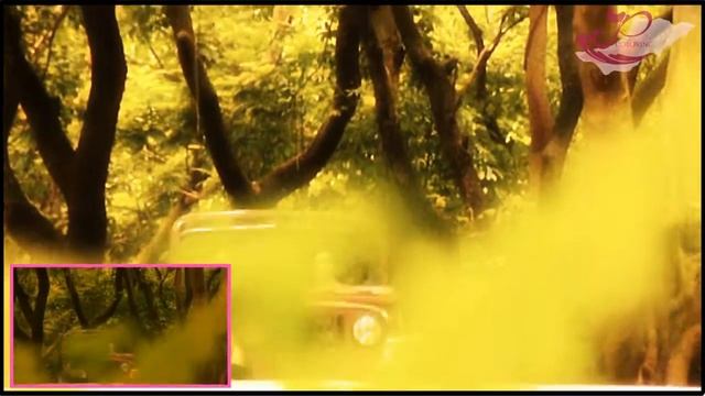 Coloring 002  Sony Vegas Pro 12  13  FREE DOWNLOAD  HD 