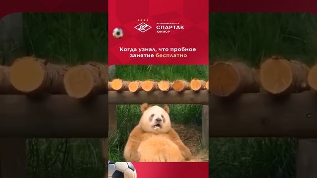 А какая реакция была у вас?