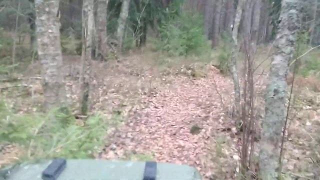ВИЛИС ЛЕС № 3