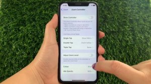 How to change color in zoom controller on iPhone X