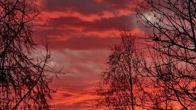 Sunset.