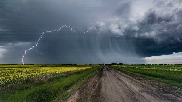 сл.Ю.Колчак,Вороны