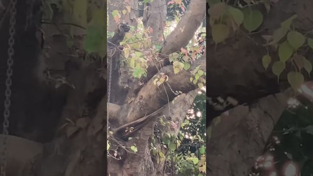 Inward Opening Window смотреть онлайн