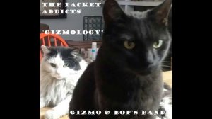 "Legends" (feat. Mac) "Gizmology" (The Packet Addicts)/2023