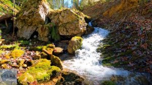 Unlock Inner Strength with the Tranquil Harmony of a Forest Waterfall and Guitar. Meditation music.