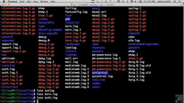 0310 Reporting смотреть онлайн
