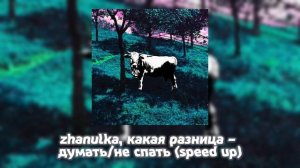 zhanulka feat. какая разница – ДУМАТЬ/НЕ СПАТЬ (speed up)