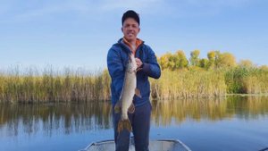 Ловля щуки (травянки) осенью на блёсны! Раздача щуки!