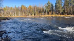 Река в северной Карелии