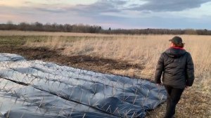 Русская ива. Видео-обзор. Посадка плантации ивы - 2020 год.