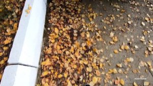 Якутия Мирный Золотая пора